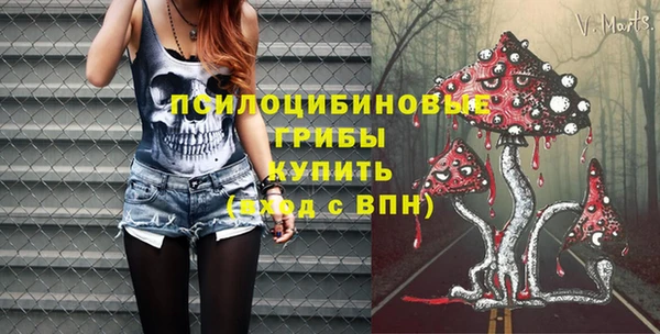 прущая мука Бородино