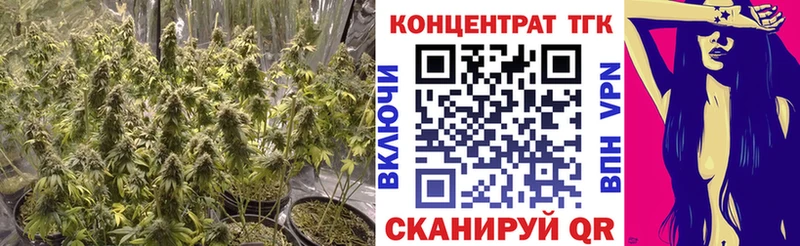 hydra как войти  Копейск  ТГК вейп с тгк 
